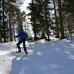 Villa Valteri Enonkoski