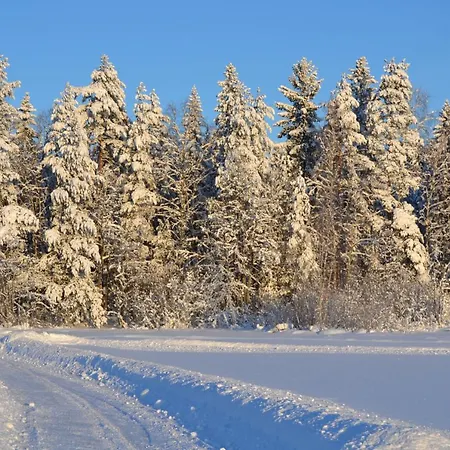 Valteri * Enonkoski