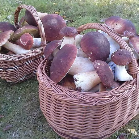 Valteri Вилла Энонкоски