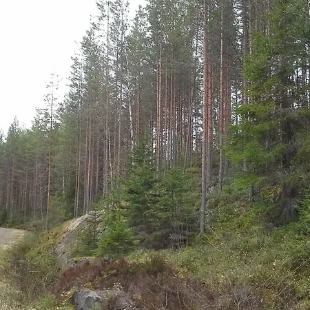Valteri Villa Enonkoski